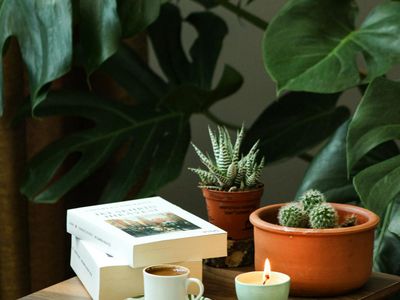 Small plants and candles in a zen relaxation area.